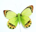 207758 Veren vlinder groen